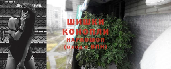 гидропоника Новокубанск