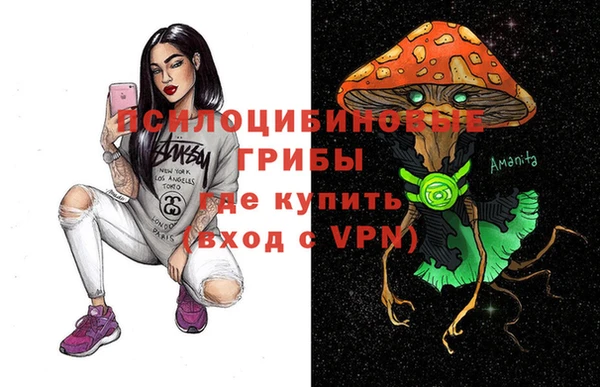 mdma Новозыбков