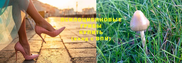 ECSTASY Няндома
