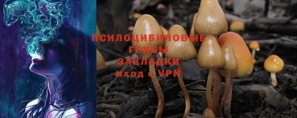 ECSTASY Няндома
