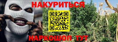 PSILOCYBIN Донской