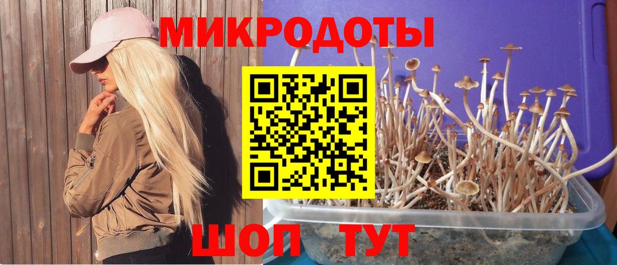 Псилоцибиновые грибы мицелий  Вход с VPN  Кореновск 