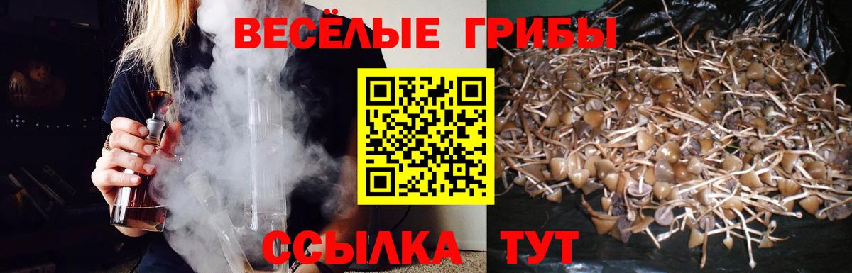 Псилоцибиновые грибы мухоморы Кореновск